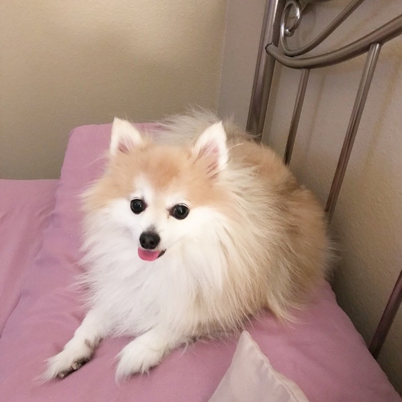 Meet your Posher, Melissa - Picture 3 of 3